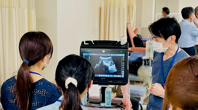 神経ブロック手技研究会